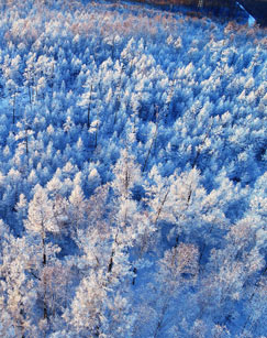 血色雪原第3集