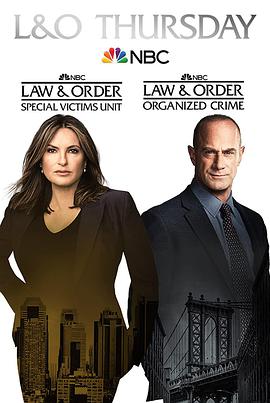法律与秩序：特殊受害者第二十三季第14集
