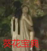 葵花宝典(全集)